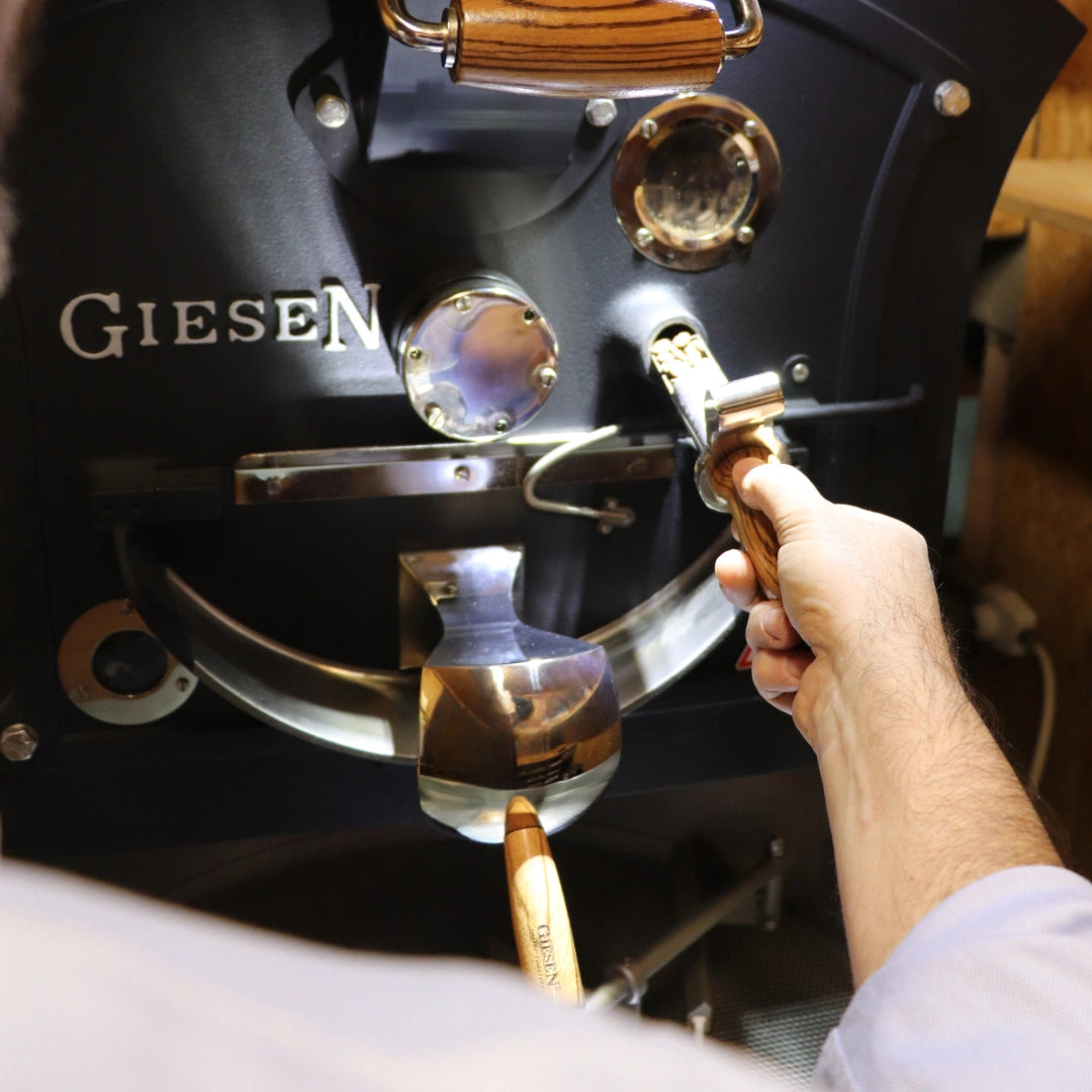 machine-de-torrefaction-Giesen-mobile.webp