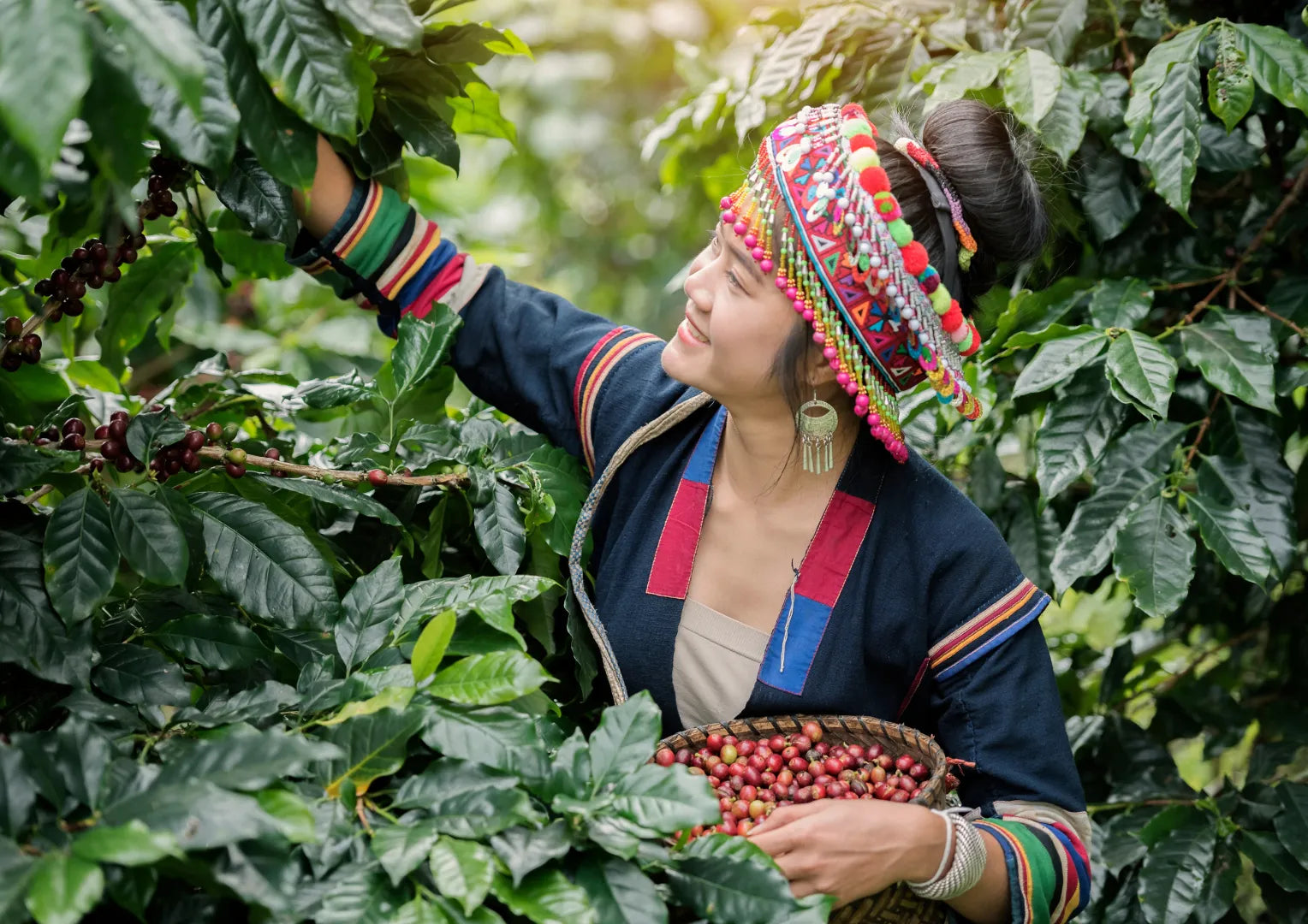 Qu'est-ce que le café de spécialité ? Le guide complet du débutant