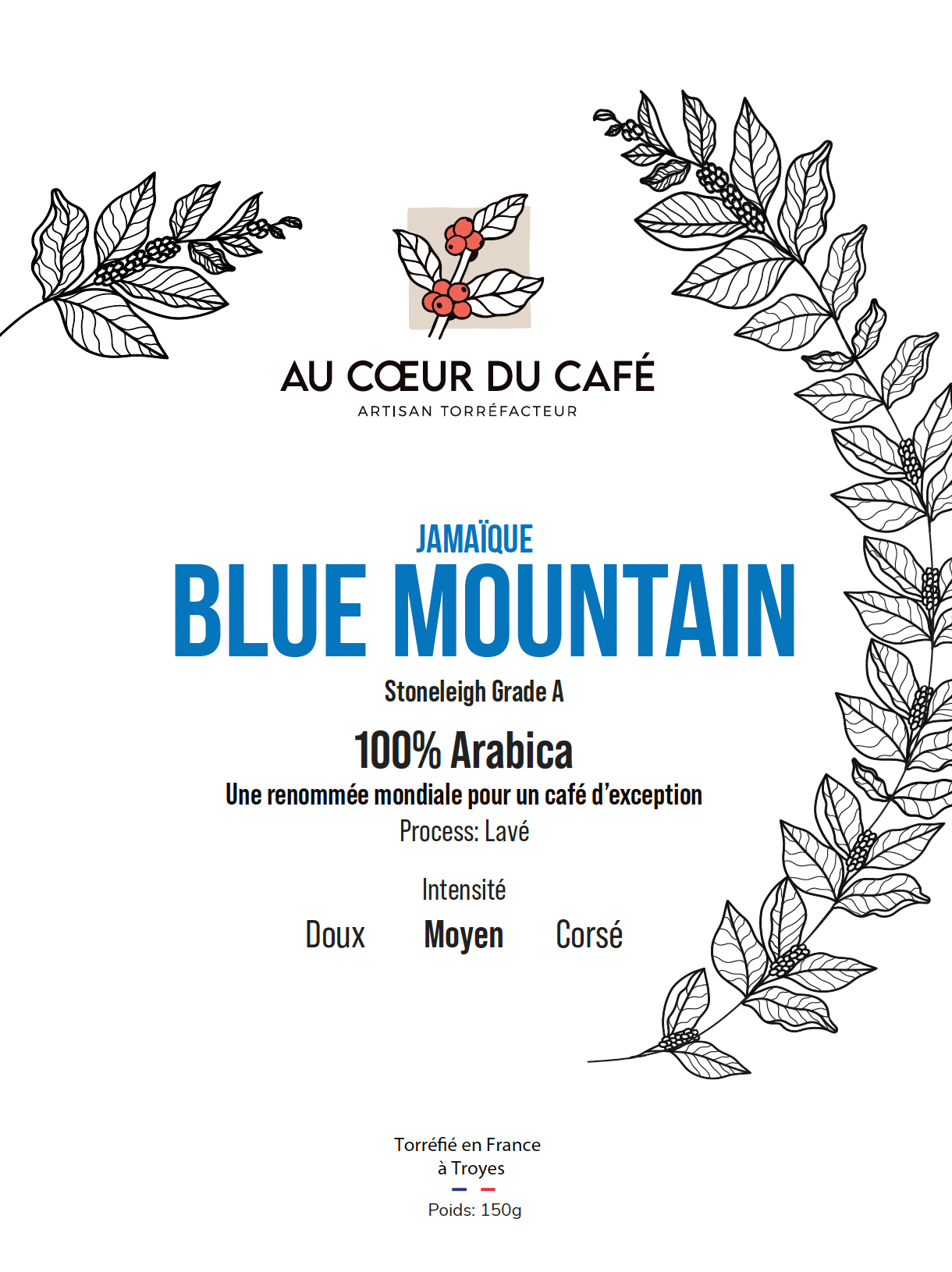 Photo of Blue Mountain Jamaique
