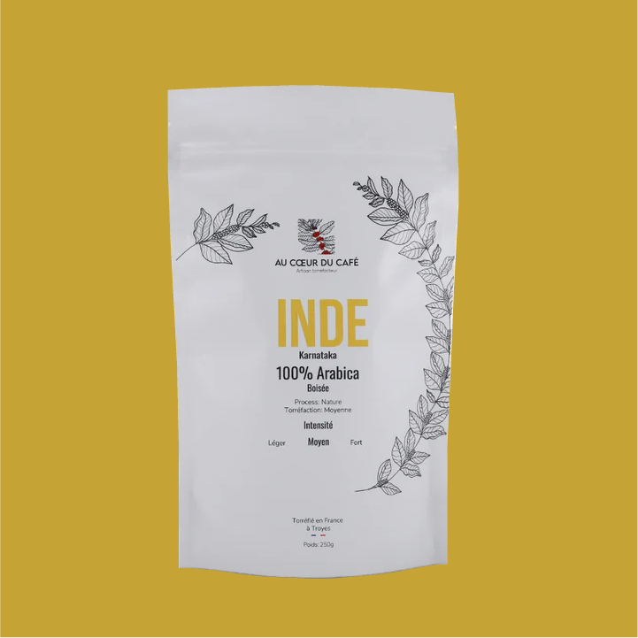 Inde_fond_color.webp