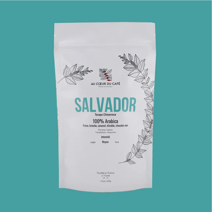 Salador_fond_color.webp