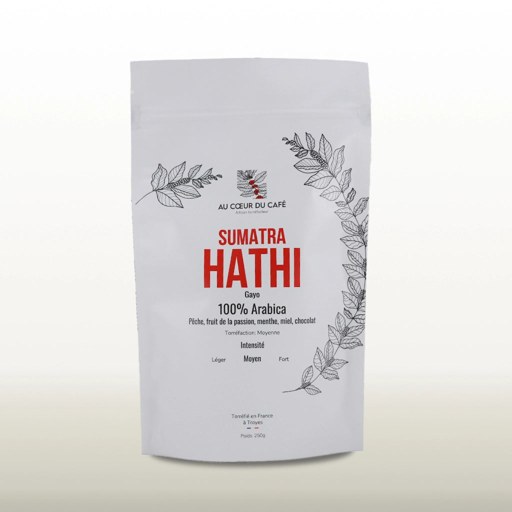 Sumatra Gayo Highland